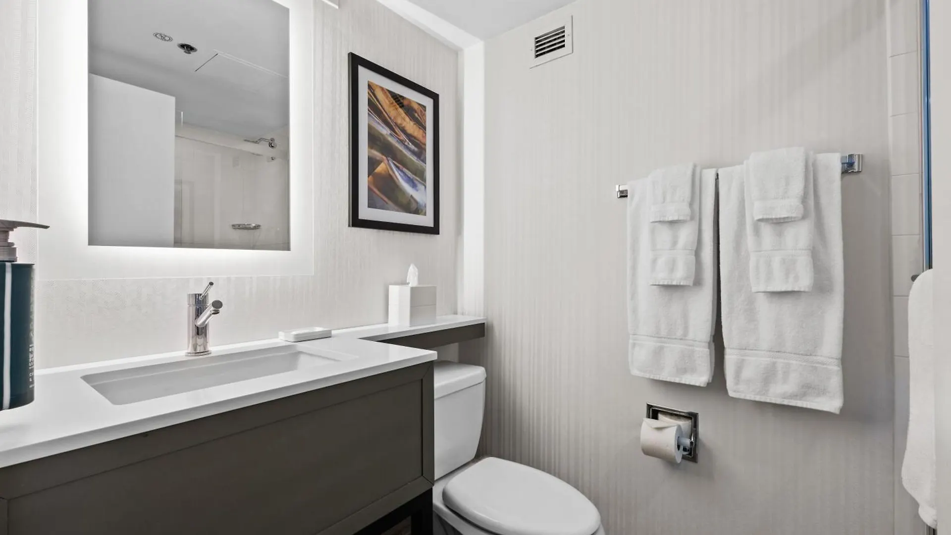 ***  Hotel Doubletree By Hilton New York Jfk Airport Stati Uniti